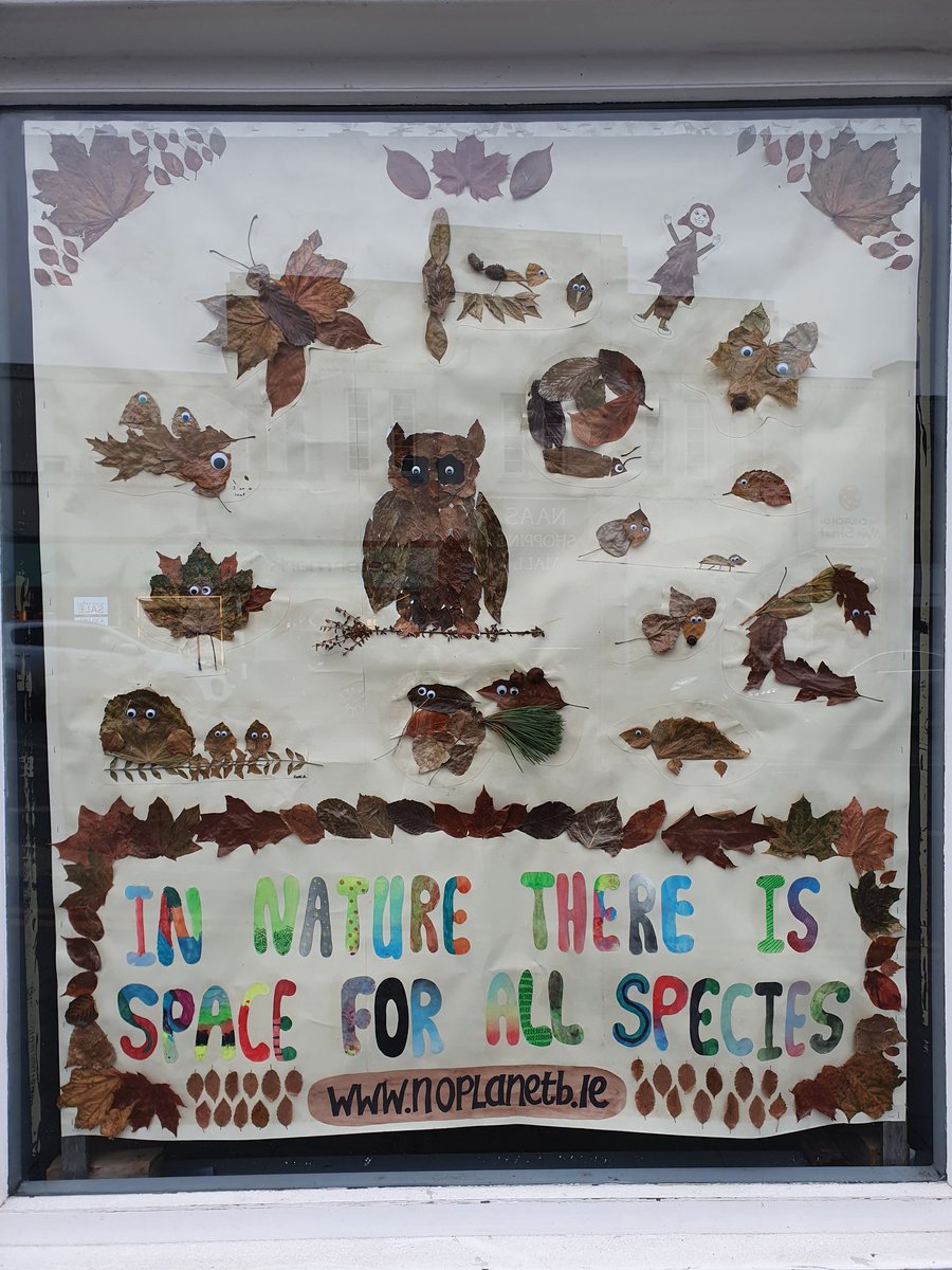 ElaineMcgoff's tweet image. Naas street art.