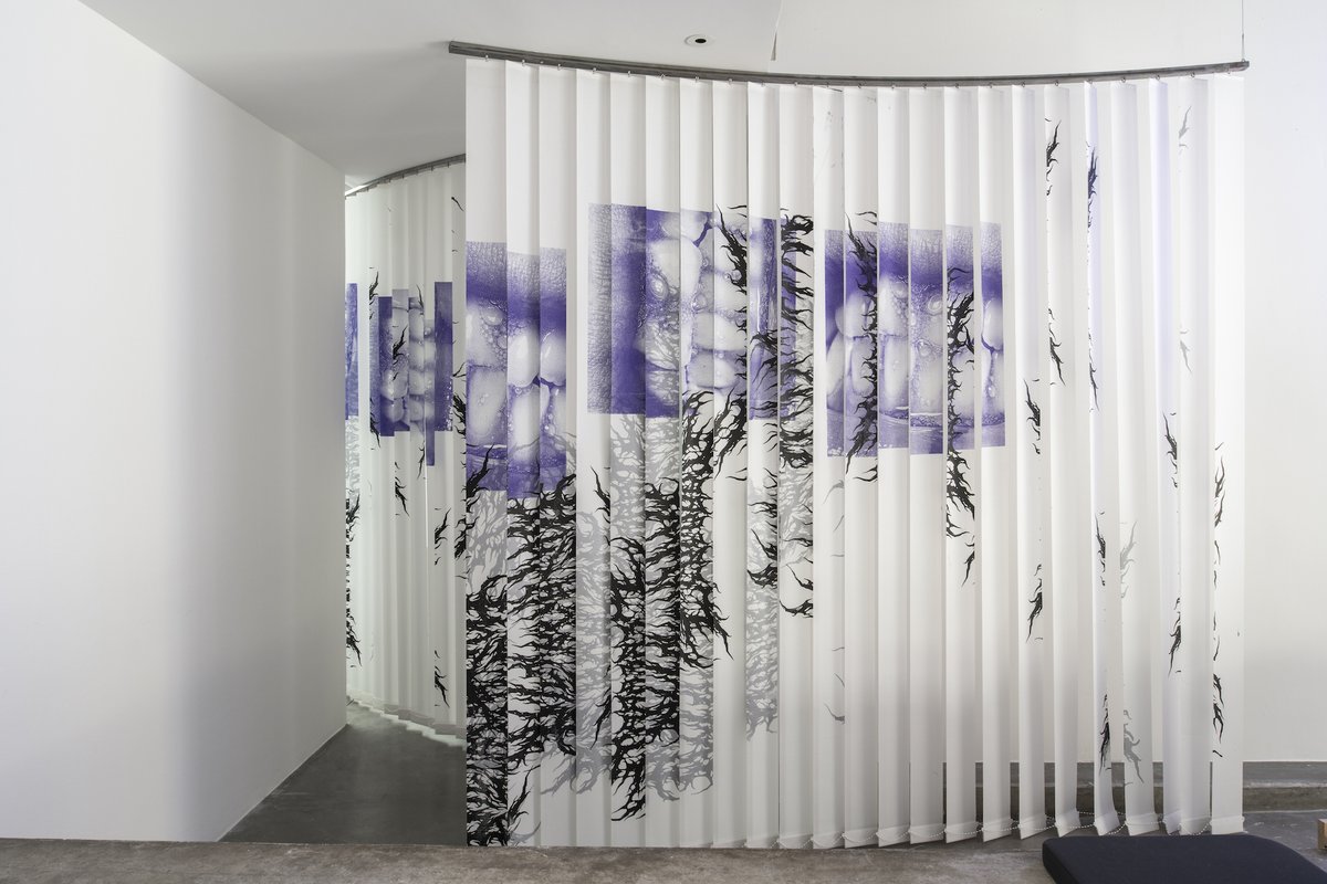 FracIdF's tweet photo. [le plateau] ⏳Tic Tac, Tic Tac : il vous reste un mois pour découvrir ou revoir l'#exposition  #ChildrenPower ! 
📸Martin Argyroglo
1/3 David Douard, Untitled, 2021 https://t.co/Wj0ud5UxRq