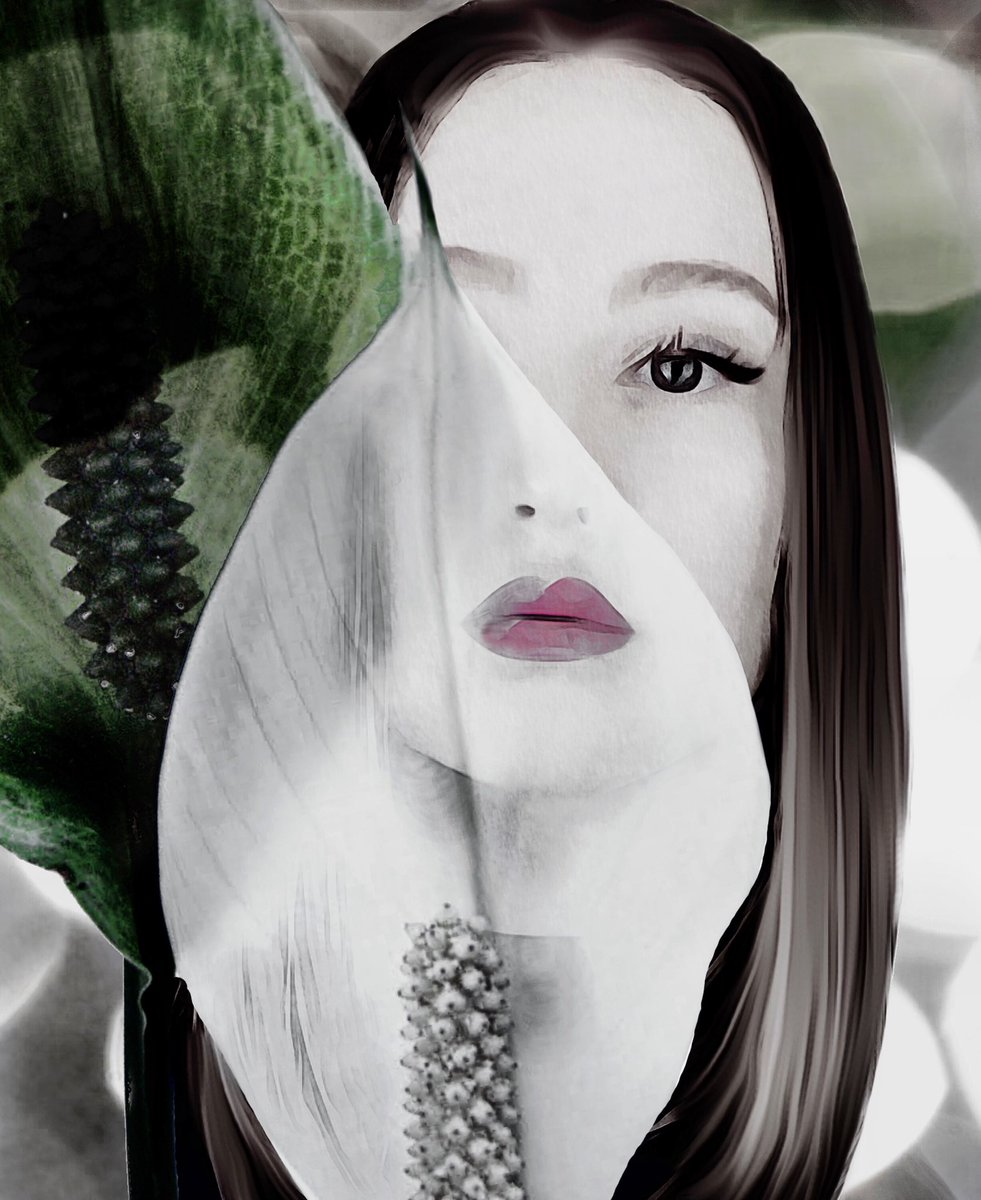 ritacolantonio1's tweet photo. She hides behind gossamer leaves, but you can still see her soul in her eyes…
#icolorama #digitalart #ipadpro #iphoneography #gerrycoe #jackhollingsworth #greycrossstudios #armchairartadventures #theappwhisperer https://t.co/srSYbt9JoV