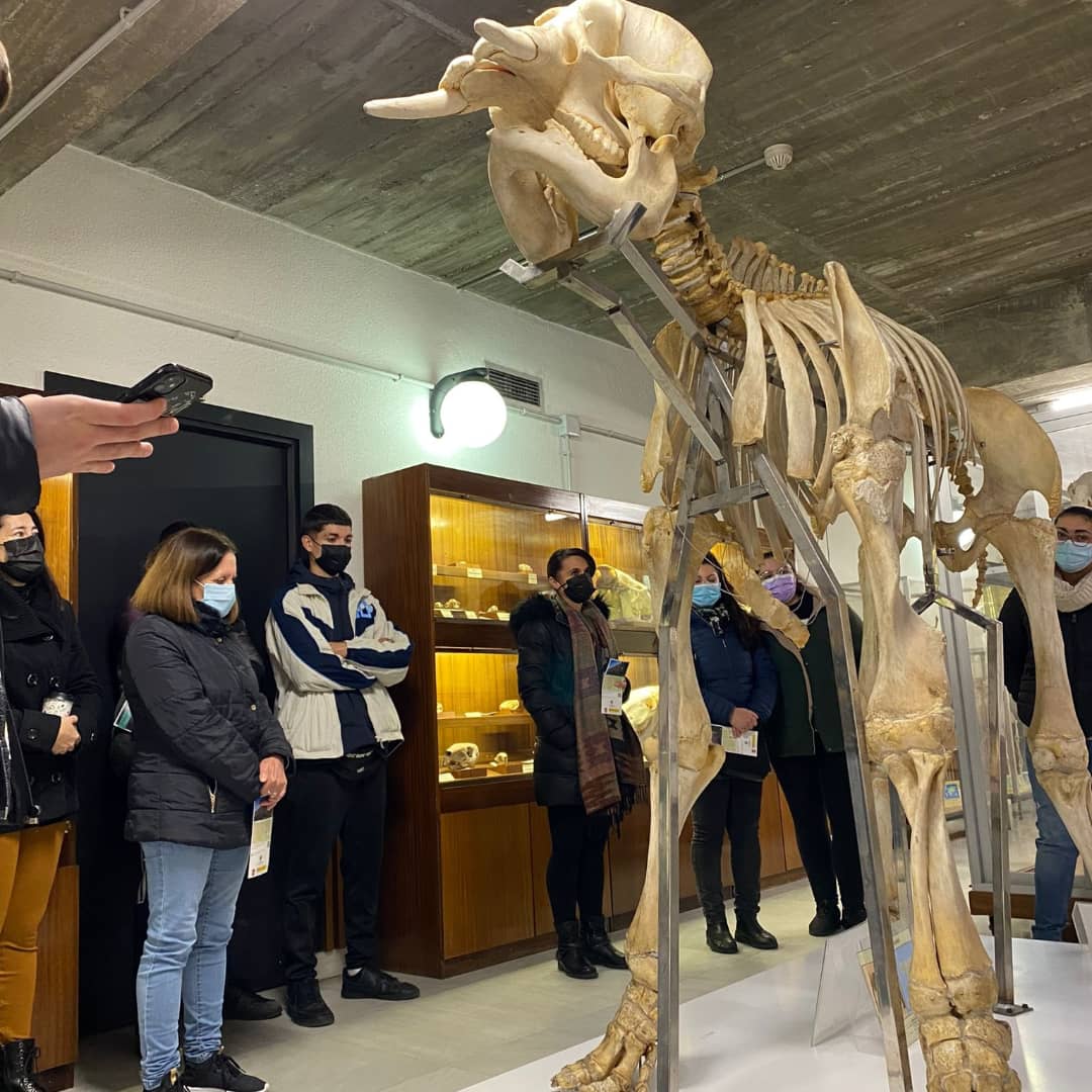 cepafuenla's tweet photo. ¿Conoces el Museo de Anatomía Comparada de la Facultad de Biología de la UCM? Los alumnos de Nivel 2 de @cepafuenla lo han descubierto y disfrutado. Sumamos conocimientos en la #Semanadelaciencia junto a nuestro proyecto STEM #FreireExperience #SomosSTEM @ADEACAM2 @fadultos https://t.co/k79KEDe4ea