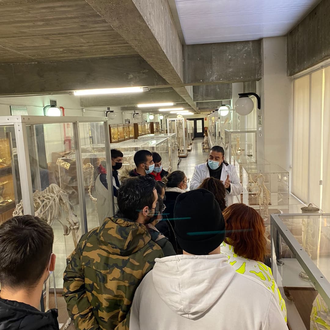 cepafuenla's tweet photo. ¿Conoces el Museo de Anatomía Comparada de la Facultad de Biología de la UCM? Los alumnos de Nivel 2 de @cepafuenla lo han descubierto y disfrutado. Sumamos conocimientos en la #Semanadelaciencia junto a nuestro proyecto STEM #FreireExperience #SomosSTEM @ADEACAM2 @fadultos https://t.co/k79KEDe4ea