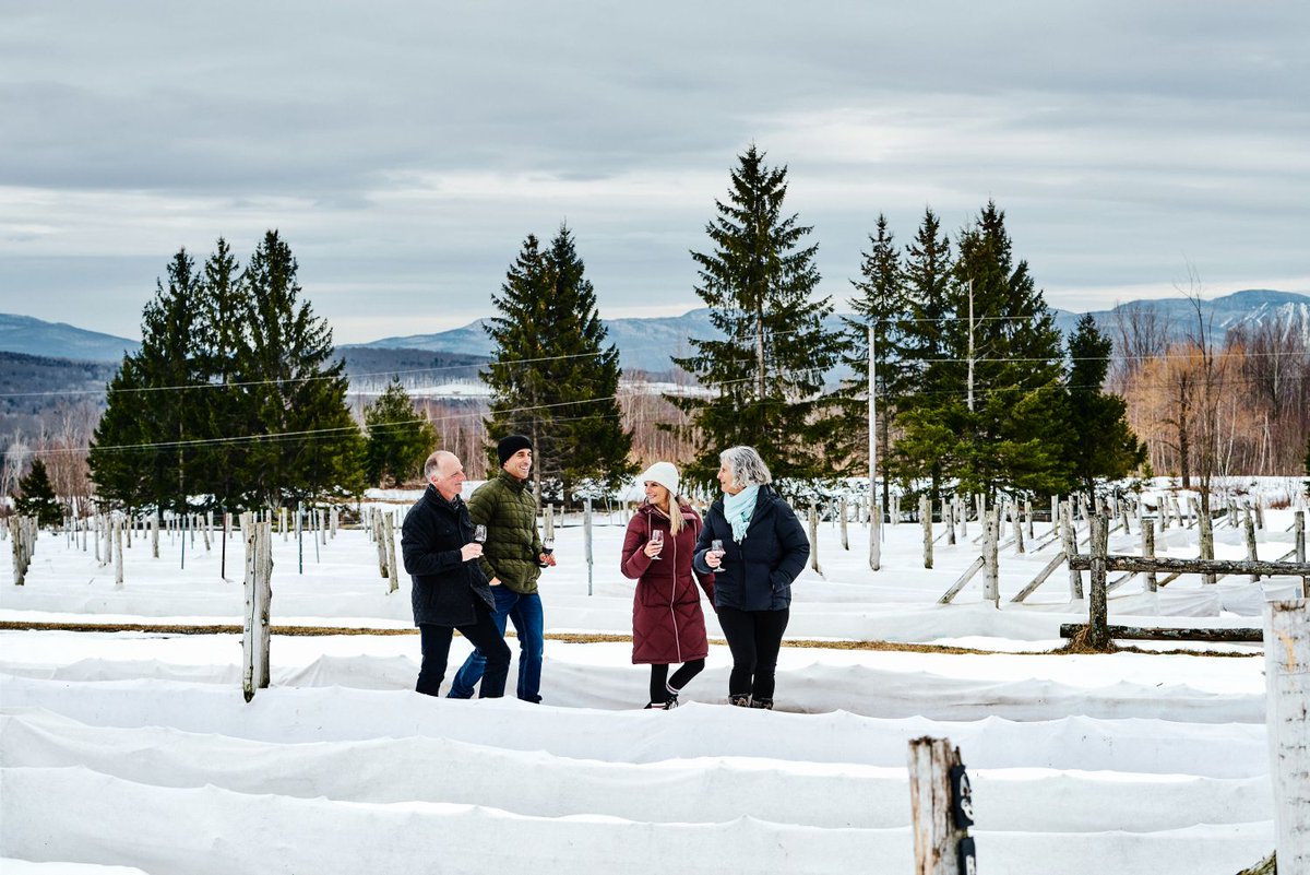 LaRoutedesVins's tweet photo. Les 4 et 5 décembre 2021, les vignobles de La Route des vins vous accueillent pour un « Spécial des fêtes ». Ce sera l’occasion de découvrir le côté nordique distinctif des vignobles du Québec.
https://t.co/qmB71VtB8j https://t.co/B04eUOmIav