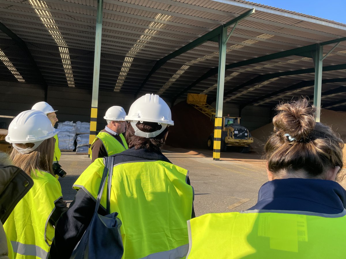 Aula de Emprendimiento - I.E.S. "Punta del Verde" tweet media