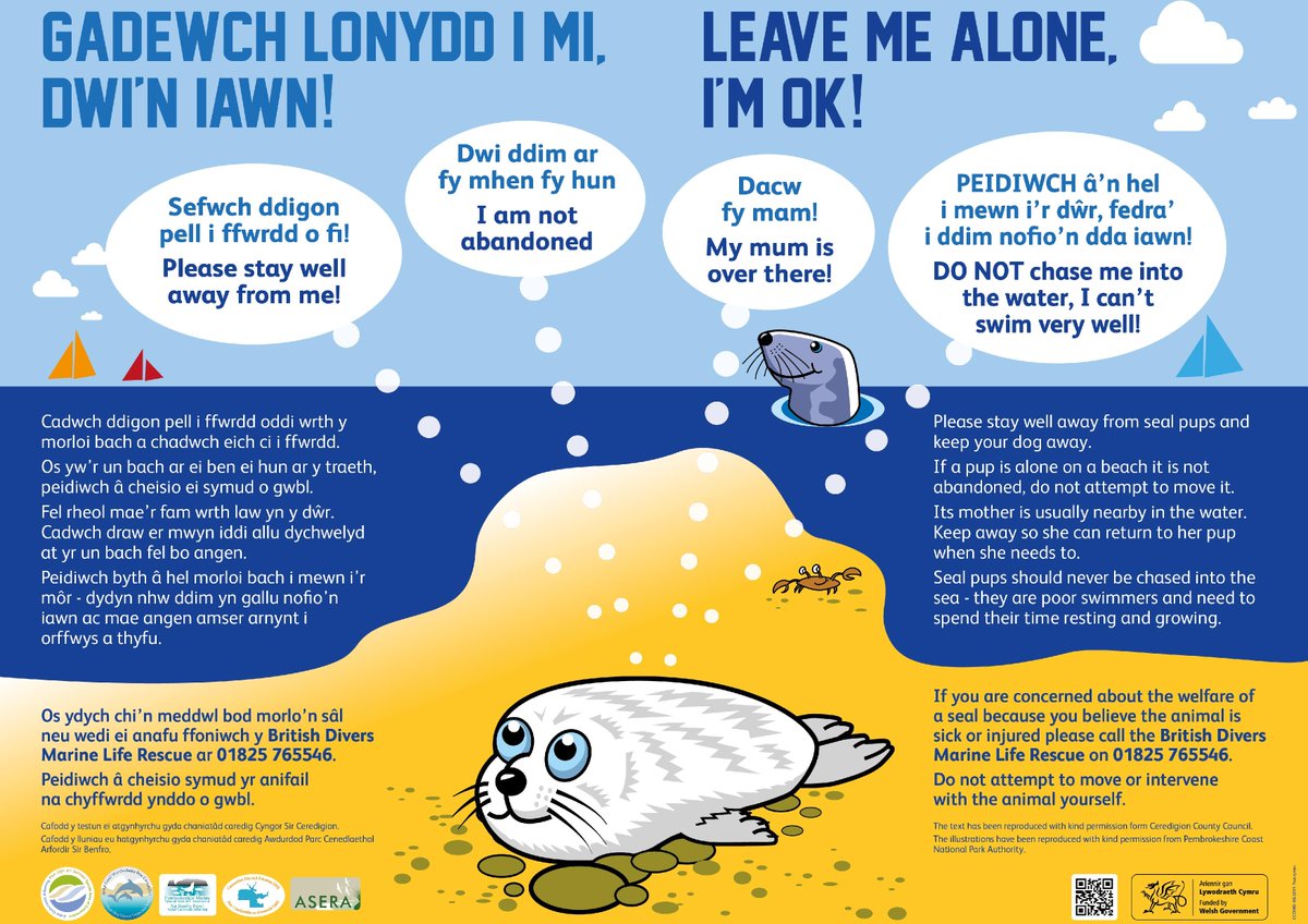 It is still seal pupping season here in Pen Llŷn a’r Sarnau

Always remember to stay away from these beautiful creatures and keep dogs under constant control to protect the areas wildlife

<a href="/CyngorGwynedd/">Cyngor Gwynedd</a> <a href="/NatResWales/">Cyfoeth Naturiol Cymru | Natural Resources Wales</a> <a href="/WalesCoastPath/">Llwybr Arfordir Cymru / Wales Coast Path</a> <a href="/Ecoamgueddfa/">#Ecoamgueddfa</a> @NTSnowdoniaLlyn