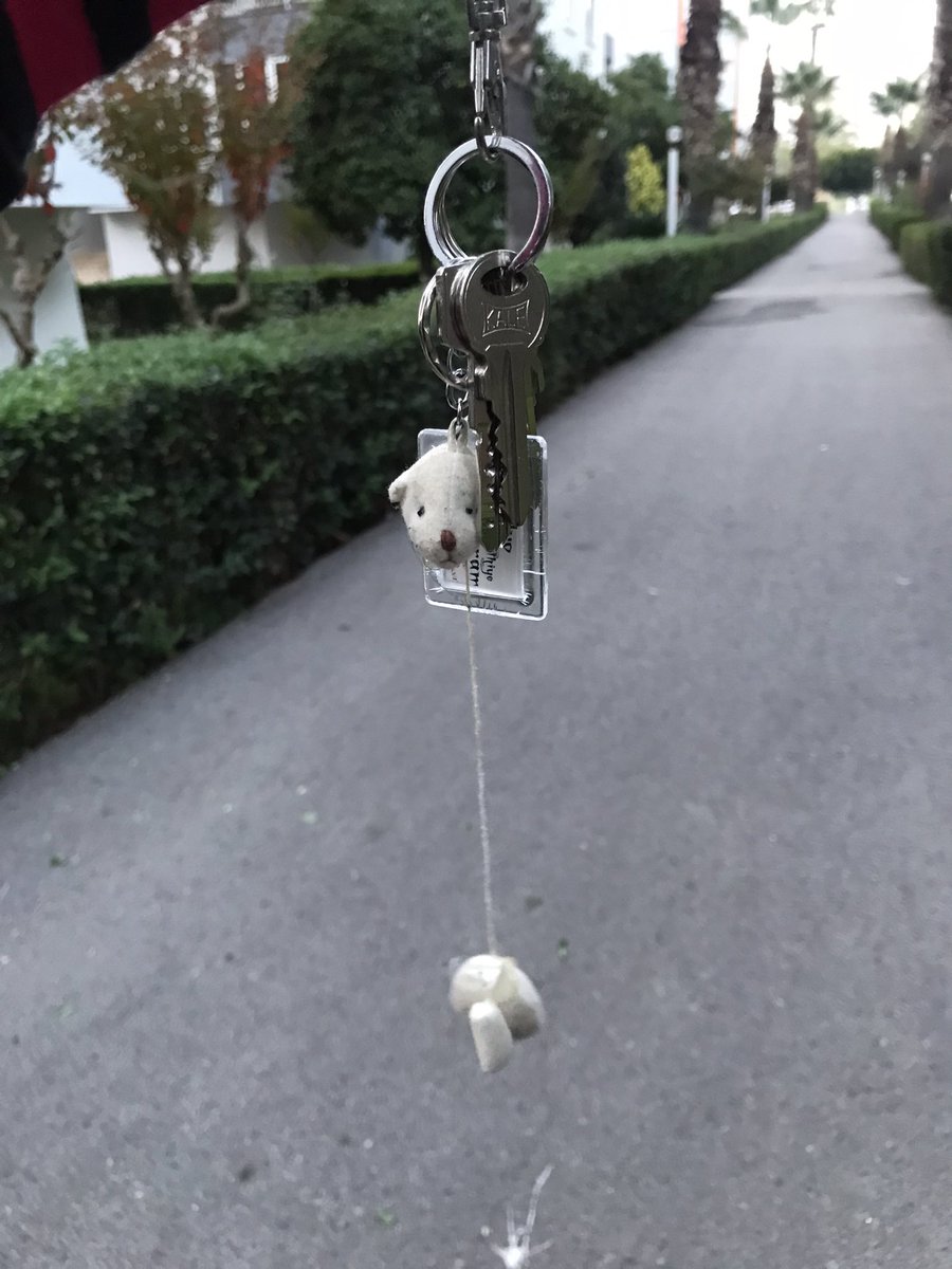 fegur0's tweet photo. Türkiye'de anahtarlıksındır ☠️ https://t.co/MwGR4yxNBJ