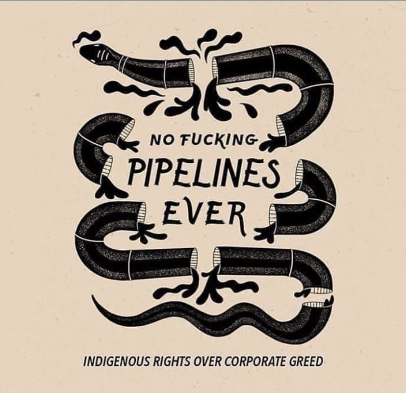 Inhumansoflate1's tweet image. #StopLine3 #pipeline #capitalism #NativeTwitter #SCIENTIST