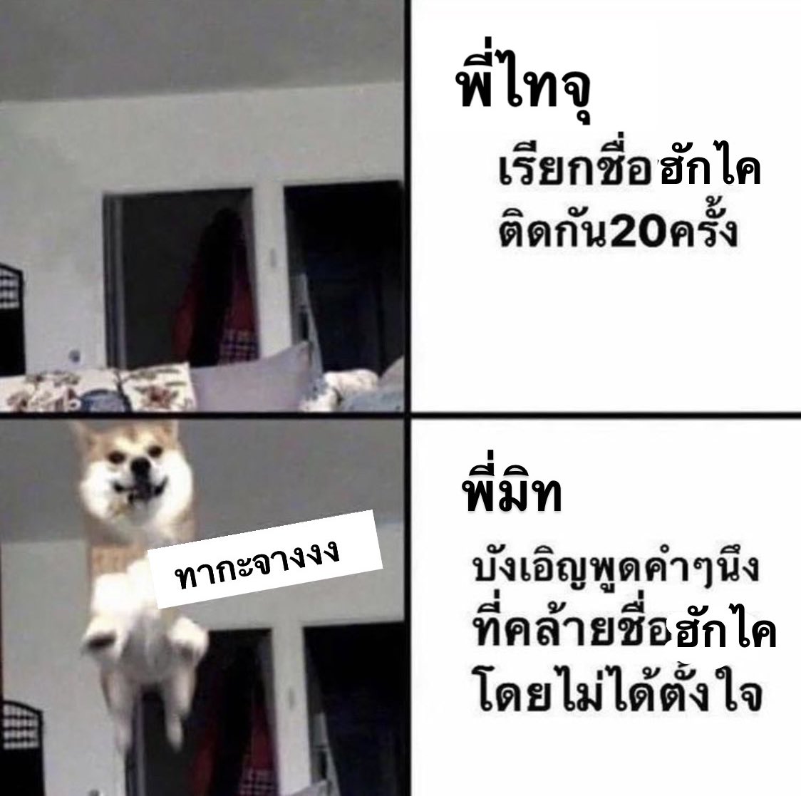 bluebunny_y's tweet photo. ทากะจังมีอารายยย #ฮักไคมิทสึ https://t.co/ascbHdTKs8