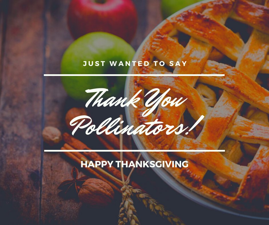 citizensenviro's tweet photo. Is it really Thanksgiving without warm apple pie? Pollinators are essential to New York’s apple production. That’s why we are working to ban unnecessary uses of neonic pesticides that kill the pollinators that make Thanksgiving possible! https://t.co/vbPKhDN83i https://t.co/nxC5IoBFiy