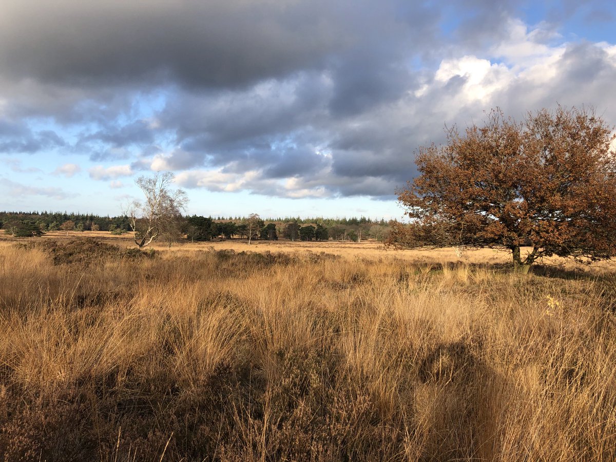 De Stakenberg ⁦<a href="/MooiNunspeet/">Mooi Nunspeet</a>⁩