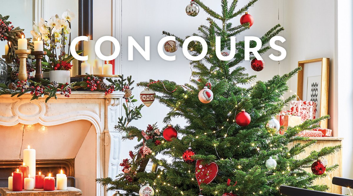 📍#Concours
Les sapins débarquent bientôt en magasin. Pour l'occasion, tentez de remporter un sapin de Noël d'une valeur de 80€ à venir chercher en magasin ainsi qu'une carte cadeau de 100€ pour le décorer ✨🎄✨

Pour participer :
🎄 RT + Follow <a href="/Truffaut/">Truffaut</a>

TAS le 26/11 🎁🤞
