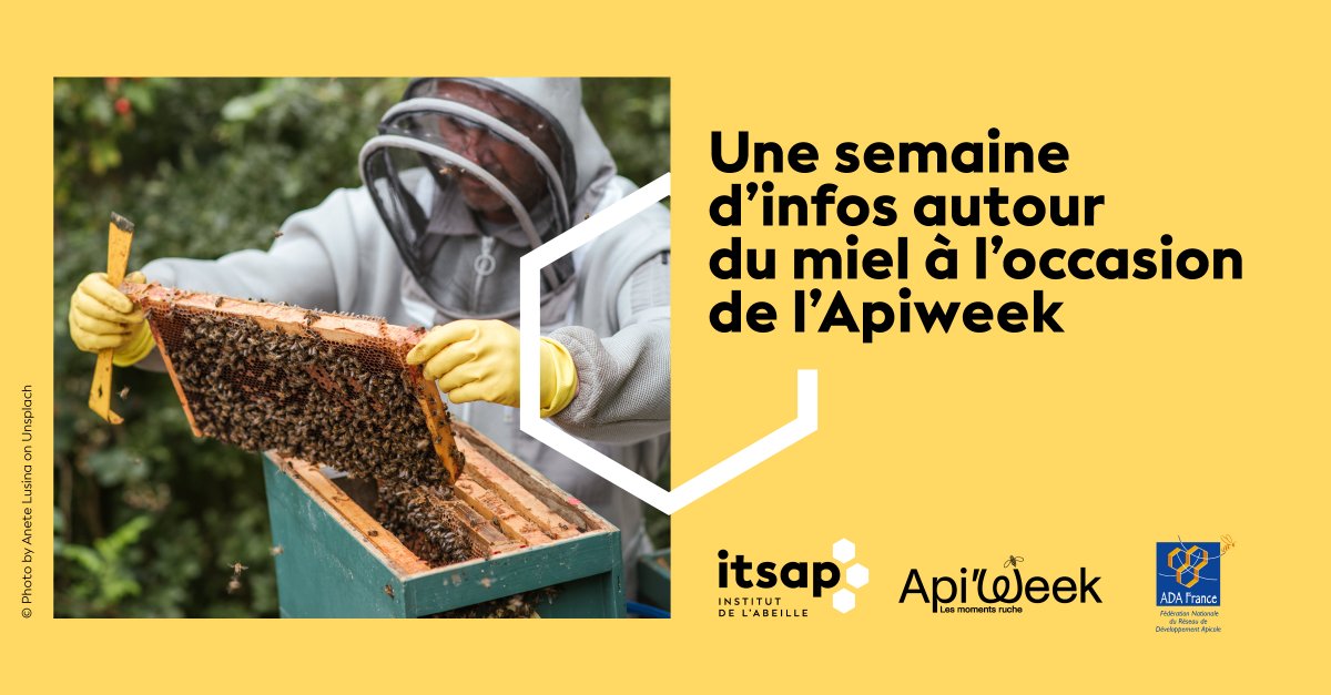 ITSAPinstitut's tweet image. C&apos;est l&apos;#Apiweek organisée par #Interapi:1 jour, 1 info. Aujourd&apos;hui,la diversité des miels produits en fonction de leur environnement de production. Carte des miellées en FR et Nvelle-Calédonie:urlr.me/1hCb2
et la plaquette des Miels de France: urlr.me/9dx2D
