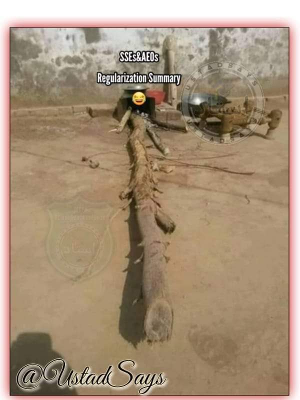 UstadSays's tweet photo. ساگ کا سیزن ہے اور مجھے ریگولرائزیشن کی سمری کی یاد آرہی ہے
نجانے کیوں 🙄🤣👻
#RegularisationWithoutPPSC
#RegulariseSSEsAEO
@RajaBasharatLAW https://t.co/bqv0w68DOa