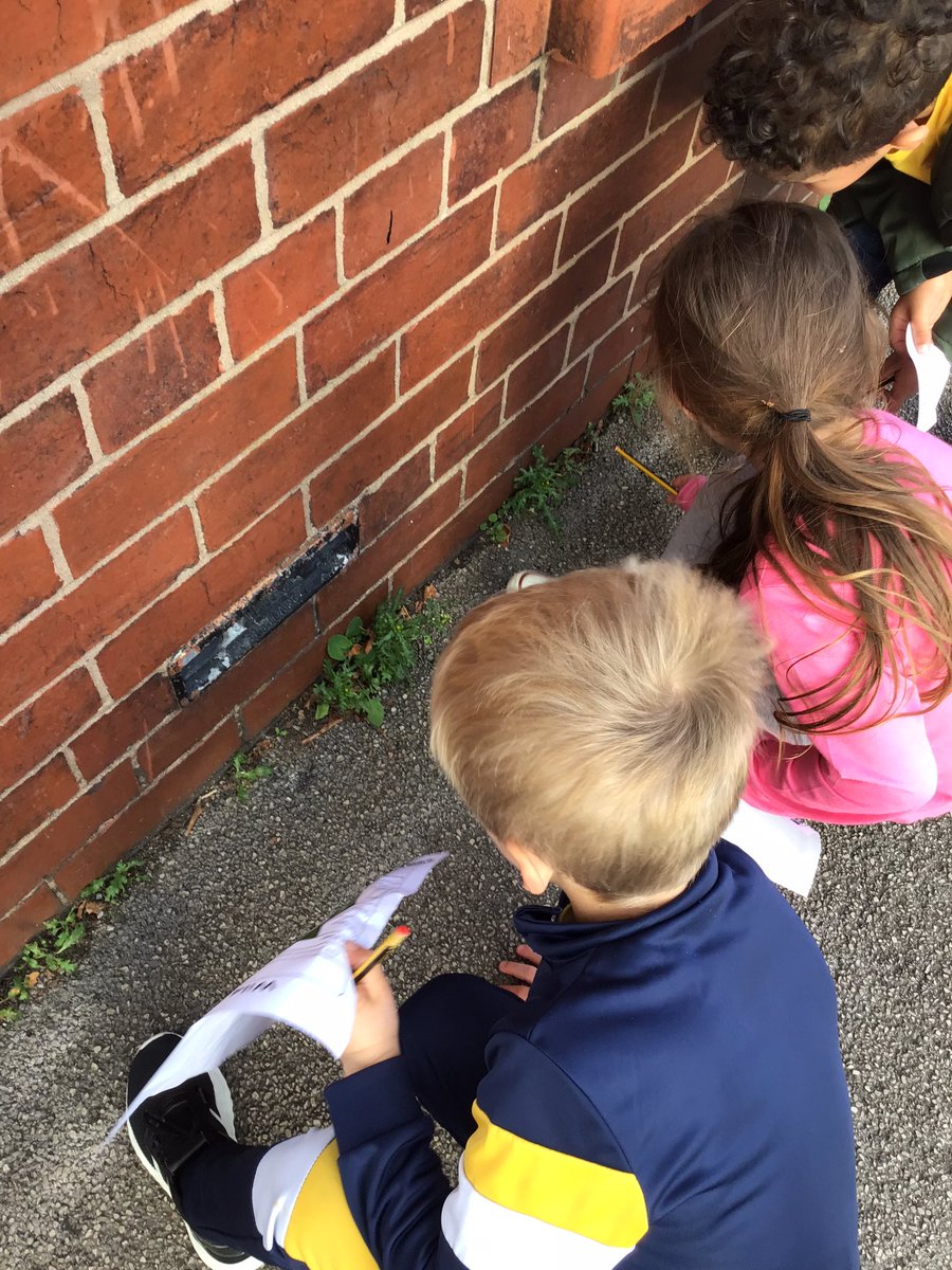 ABCPschool's tweet photo. #Class1D have been on a wild plant hunt! #ABScience https://t.co/8xhnZKAJCb
