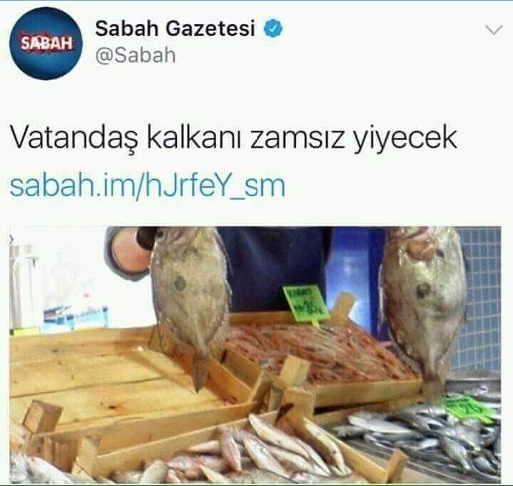 Zaten bir "KALKANI" zamsız yiyoruz AQ...