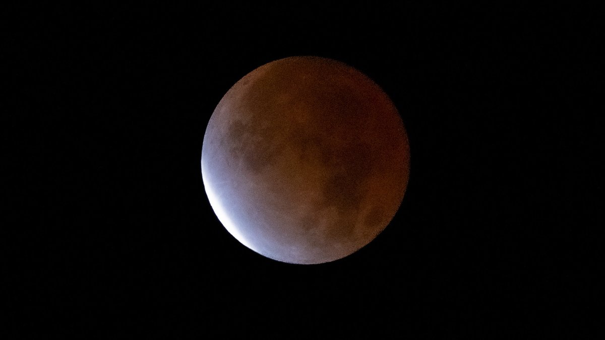 dandenardo's tweet photo. Happy Friday! An extraordinary morning witnessing a lunar eclipse (97%) from the #greatlakes bay region. Stepped out the door at 3:30 am with my camera. A super start to the day. Have a great weekend.
#LunarEclipse2021 https://t.co/Fkx3Tq5xrh