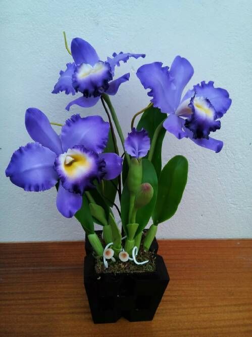 The Christmas Shopping Fayre starts at 9am next Friday &amp; we are beyond excited!!  Many wonderful stalls to get all your Christmas Gifts sorted early.  Pop on in &amp; see Fullmoon Flowers for beautiful handmade silk flowers &amp; jewellery.  Tickets available at christmasshoppingfayre.com