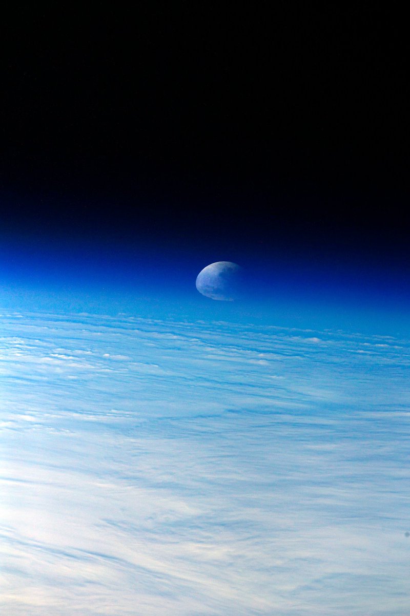 latestinspace's tweet photo. Last night’s lunar eclipse from the International Space Station! #LunarEclipse2021 https://t.co/Zlot4ywB9M