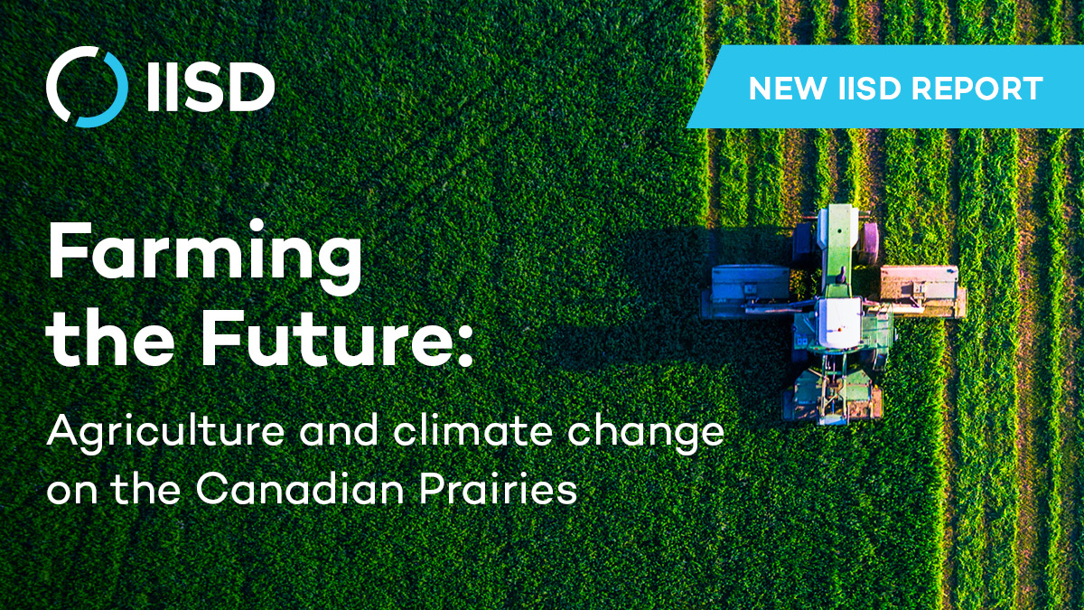 IISD_news's tweet photo. Investing in climate #adaptation & mitigation for #agriculture in 🇨🇦Canada's Prairies now means a better future for farmers.
It can also help us tackle the #climatecrisis putting their livelihoods at risk.
👉Our new report shows what's at stake. https://t.co/QuZUygBmIL https://t.co/DGdJK4E2he
