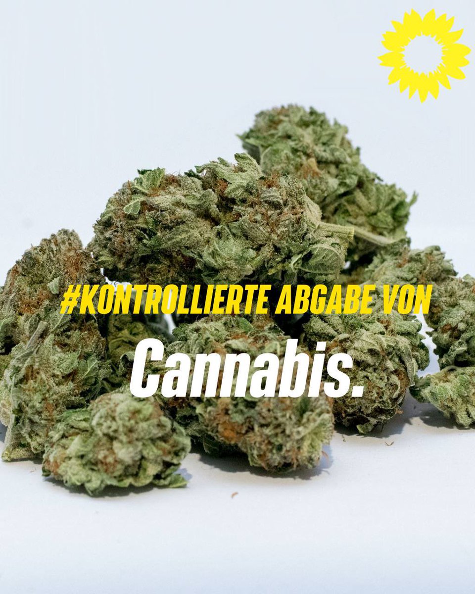 CathPieroth's tweet photo. Endlich:#LegalisierungKOMMT!! Nur so setzen wir der #Kriminalisierung von Konsument*innen ein Ende und dämmen den Schwarzmarkt ein! #kontrollierte Abgabe an Erwachsene bedeutet: mehr Aufklärung, mehr Gesundheits-, Verbraucher*innen- u. Jugendschutz! #hanfverband #harmreduction https://t.co/z0v1Cv3Edz