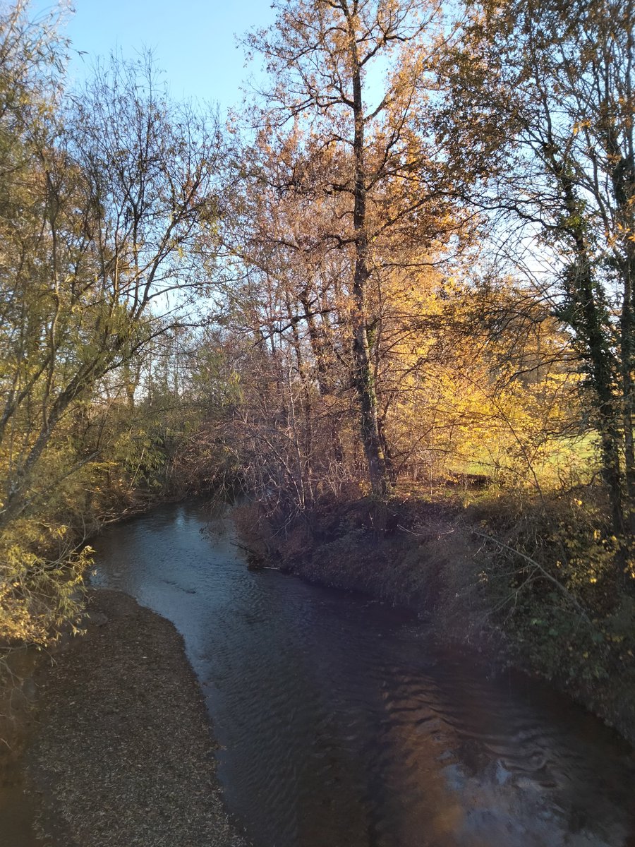 Salerpipopette's tweet photo. Venez faire une petite #BaladeSympa et profiter du soleil d'#automne sur les bords de la Loyre du côté de #Varetz en #Correze #Limousin #NouvelleAquitaine #MagnifiqueFrance #FranceMagique #NaturePhotography #PromenadeenFrance #AVotreimage @F3Limousin @CorrezeTourisme https://t.co/sTniZ4RVVi