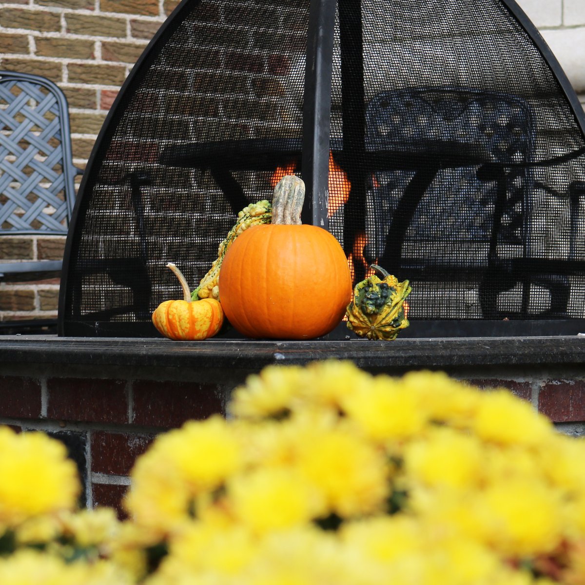 RaphaelHotelKC's tweet image. Happy Thanksgiving, KC! We have so much to be thankful for with a family like you🤍 #RaphaelHotel #travelgram #PlazaKC #visitkc #kclocal #BoutiqueHotel