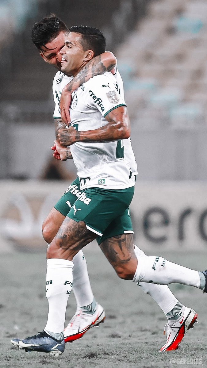 SepEdits_'s tweet image. Icons e Wallpapers - Dudu
[ Palmeiras 1 x 2 Fluminense ]