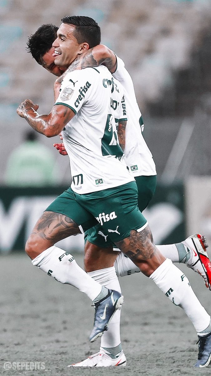 SepEdits_'s tweet image. Icons e Wallpapers - Dudu
[ Palmeiras 1 x 2 Fluminense ]