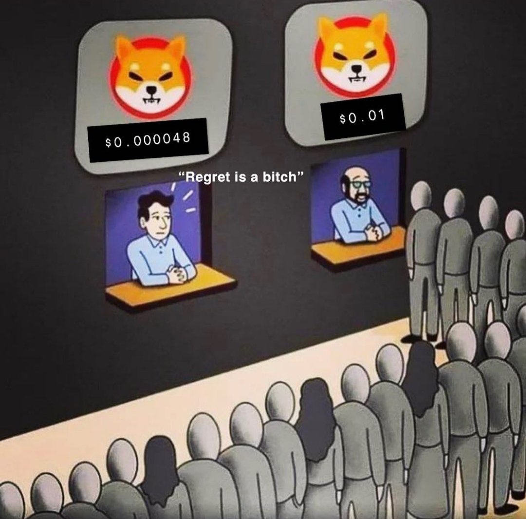 9killerzero's tweet photo. Its true🚀🚀🚀🚀 
@ShibainuCoin #shiba @WatcherGuru https://t.co/SX1FKDwlcU