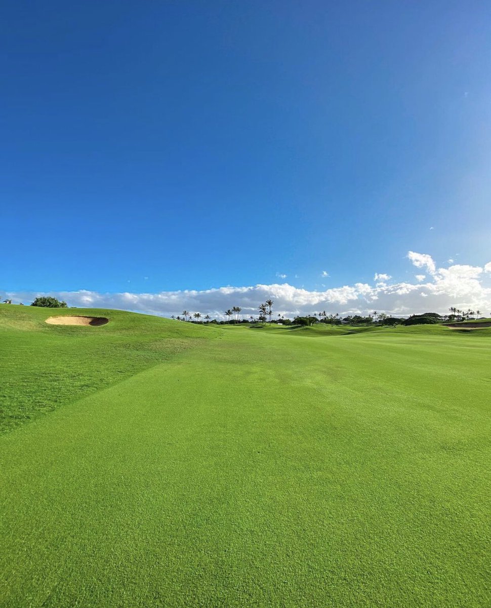 GolfAtKapolei's tweet photo. #AlohaFriday vibes 🤙🏽🤙🏽

Are you joining us for a round this weekend? 

Visit https://t.co/H3Q663S1tC

📸 via ig: ieshawaii https://t.co/n6KnOZmGmr