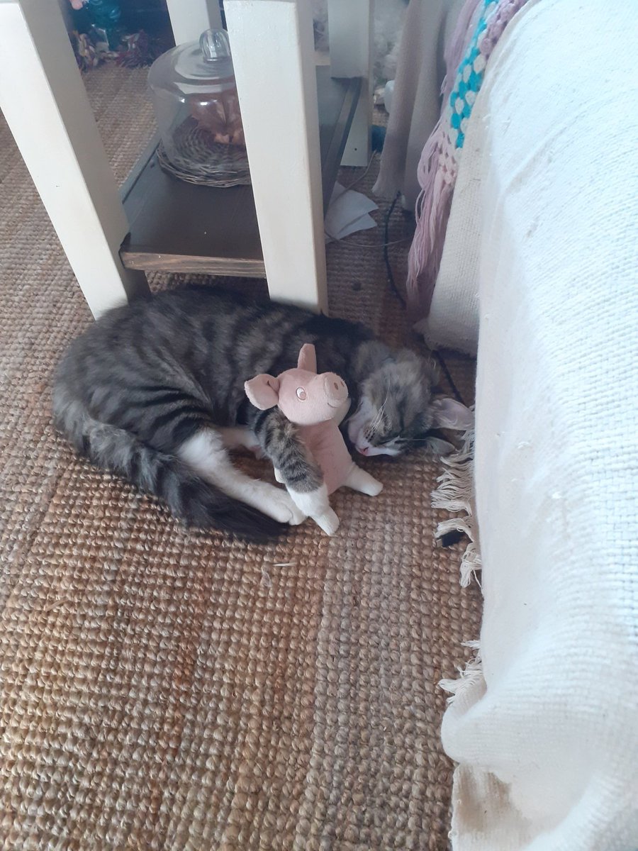 Við erum þreyttir eftir nóttina