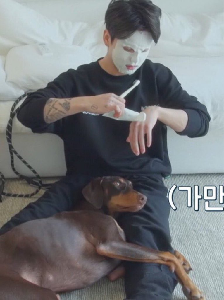varbieskoo's tweet photo. Jungkook best parent. He raised a  Doberman, one of the most dangerous dogs in the world to be the sweetest, kindest, gentlest, loving dog when others raised them to be a fierce and scary dog. Bam is so lucky to have the best dad, his content face and his shining eyes says it all https://t.co/NYukr4a2ZY