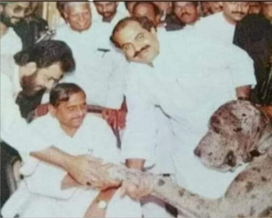 जिस कुत्ते से मुलायम सिंह यादव हाथ
मिला रहा है 🤣

उस कुत्ते के मालिक को कुत्ता

बना दिया #महाराज_जी ने