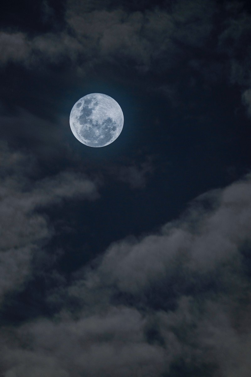 radenrauf's tweet photo. Full Moon malam ini, fresh from Camera, 19 Nov 2021.
Udah lama banget ga motoin bulan.
Foto pertama pake teknik multiple exposure, pertama fotoin bulannya dulu abis itu taroh di antara awan.
Foto kedua langsung dari kamera.

Bonus foto 3 dan 4 buat wallpaper. 
Enjoy gaes 🥰 https://t.co/ypqVMvKcBu