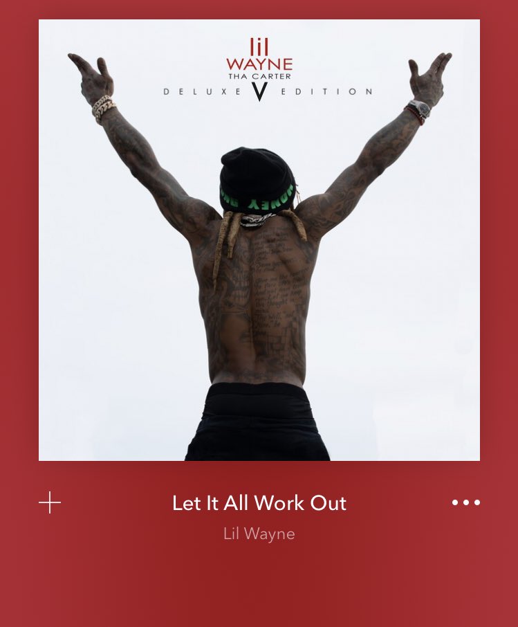 👑: Damn, thanks Wayne.