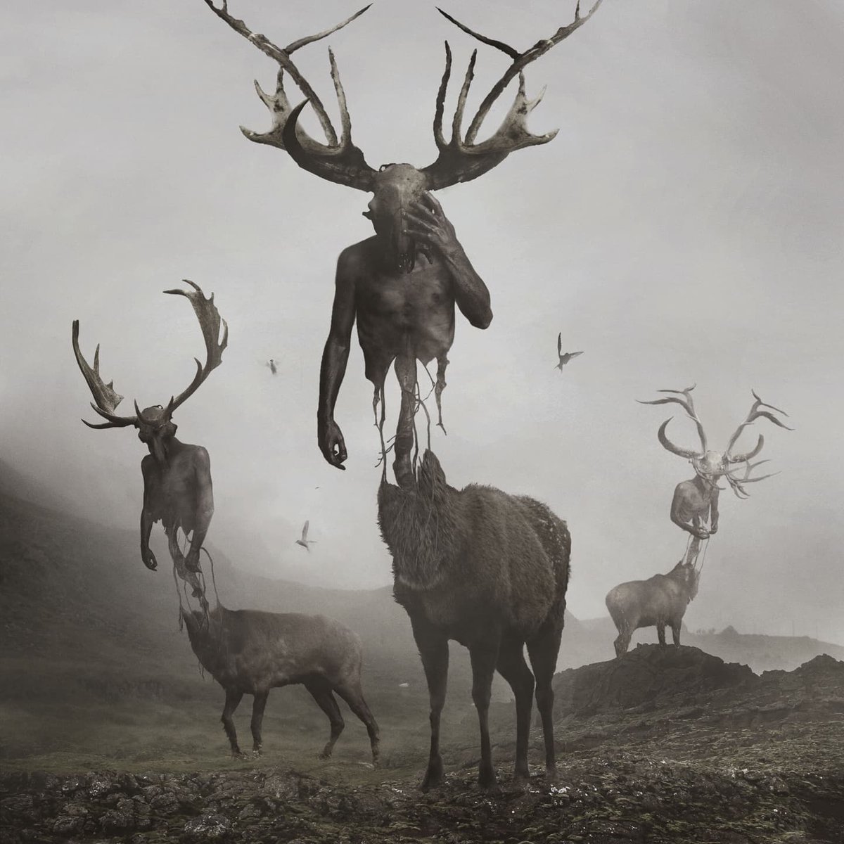 MorganKnudsen's tweet photo. THIS MONDAY: Folklore expert Chad Lewis returns  to @supernaturalpc to discuss one of the oldest and feared legends in history, the Wendigo, in part 2 of our wendigo series!  

#podcast #wendigo #darkpoutine #paranormal #paranormalpodcast #cryptids #Canada https://t.co/wb2FAjI6fH