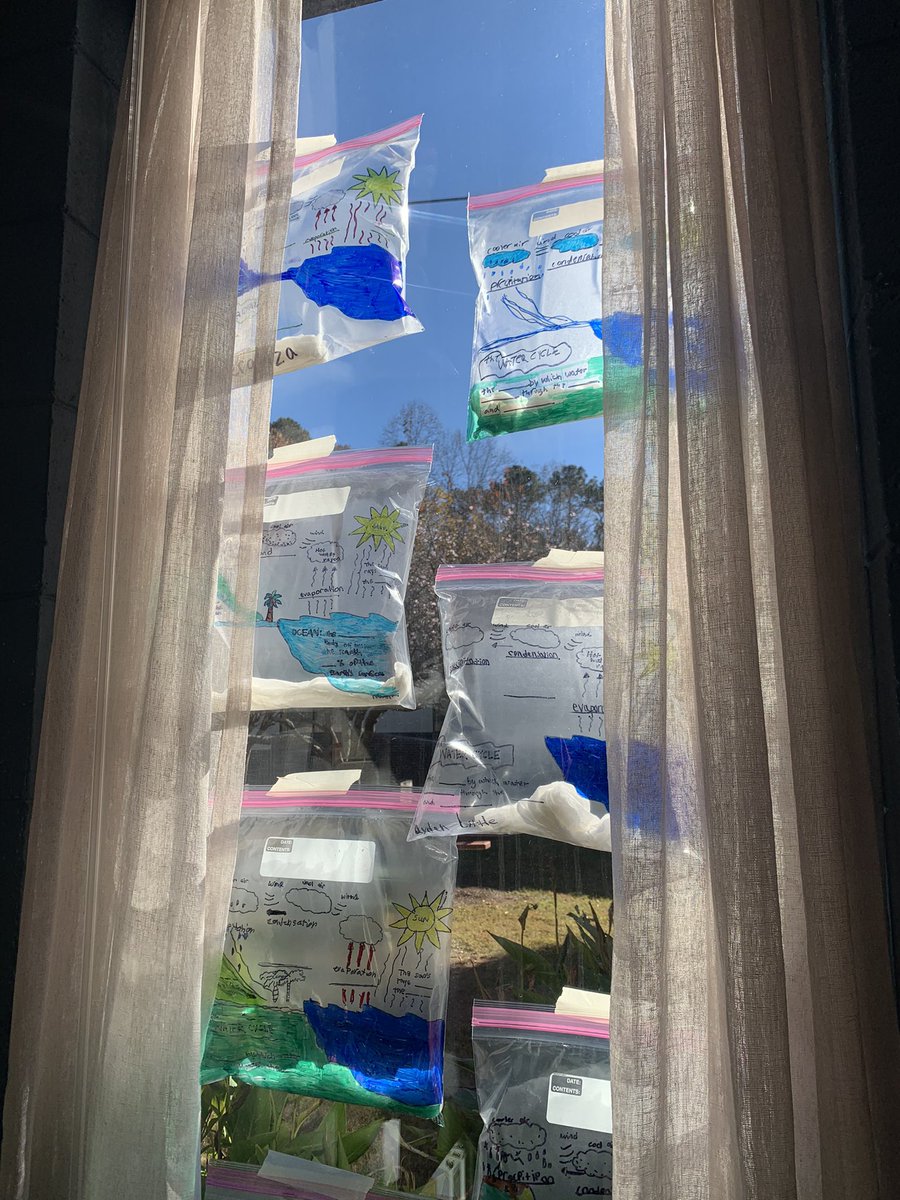 MrsMillerin4th's tweet photo. 👀 these beautiful works of water cycle art! We’re excited to see the process results when we are back from break! #4thgrade #teacher #watercycle @TrittSTEAM https://t.co/L4Ko8TwwyO