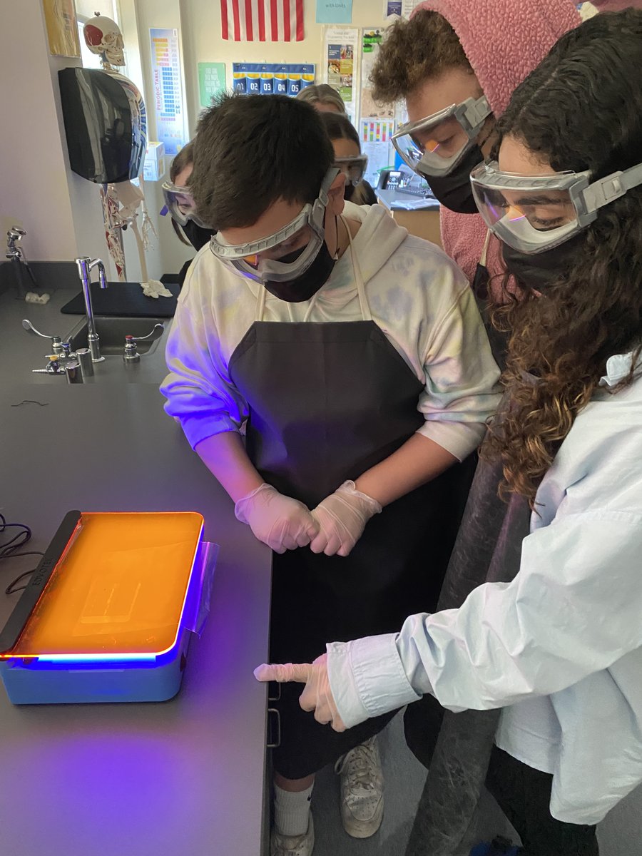 SBRHS_Talbot's tweet image. Use Biotechnology to Avenge Anna!!! #PrinciplesofBiomedicalScience @PLTWorg