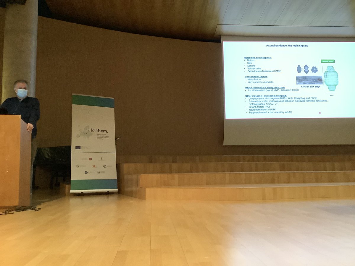 IsmaelMingarro's tweet image. We moved to the fourth session of the #CellularSignaling @FORTHEMAlliance #WinterSchool with the talks by #StephanCollins BurgundyUniv #HelenMaySimera JGU Mainz and #AlbertoYañez UnivValencia