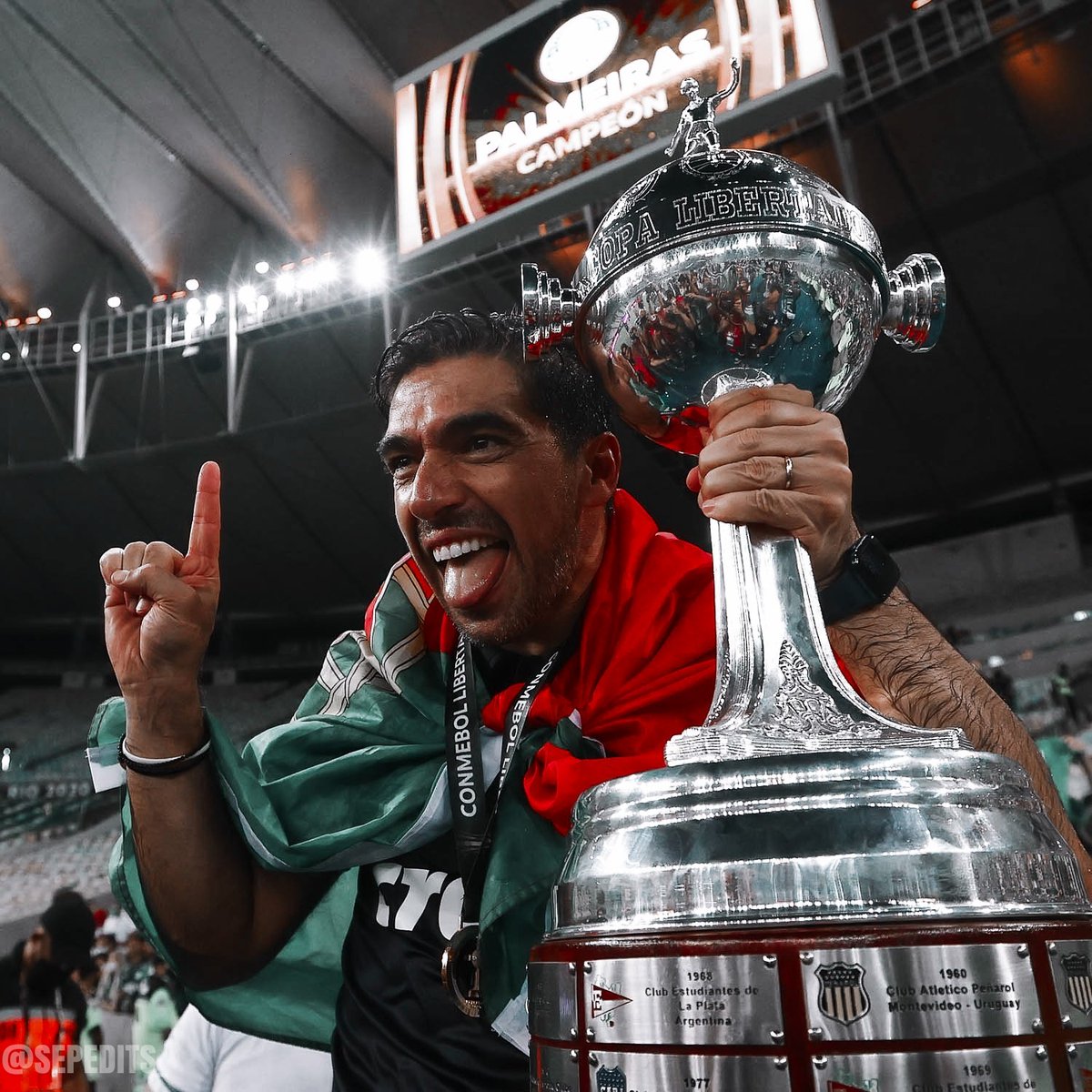 SepEdits_'s tweet image. Pedido | Icons - Abel Ferreira