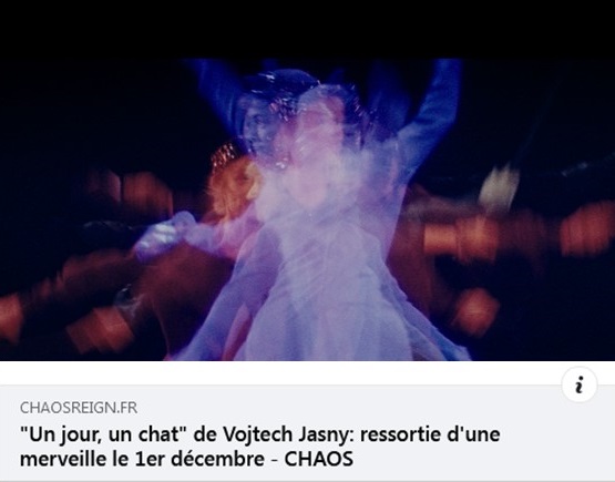 Malavida Films Un Jour Un Chat Amp C Est Un Joyeux Chaos Un Chat A Lunettes Detecte La Vraie Nature Des Gens Qu Il Croise Entre La Pantomime La Comedie De Mœurs