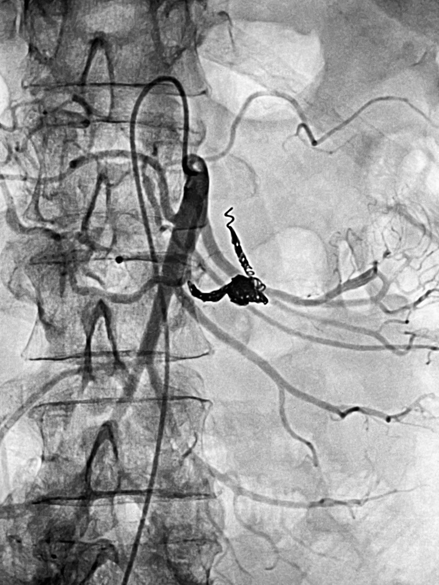 Alexandria CVIR tweet media