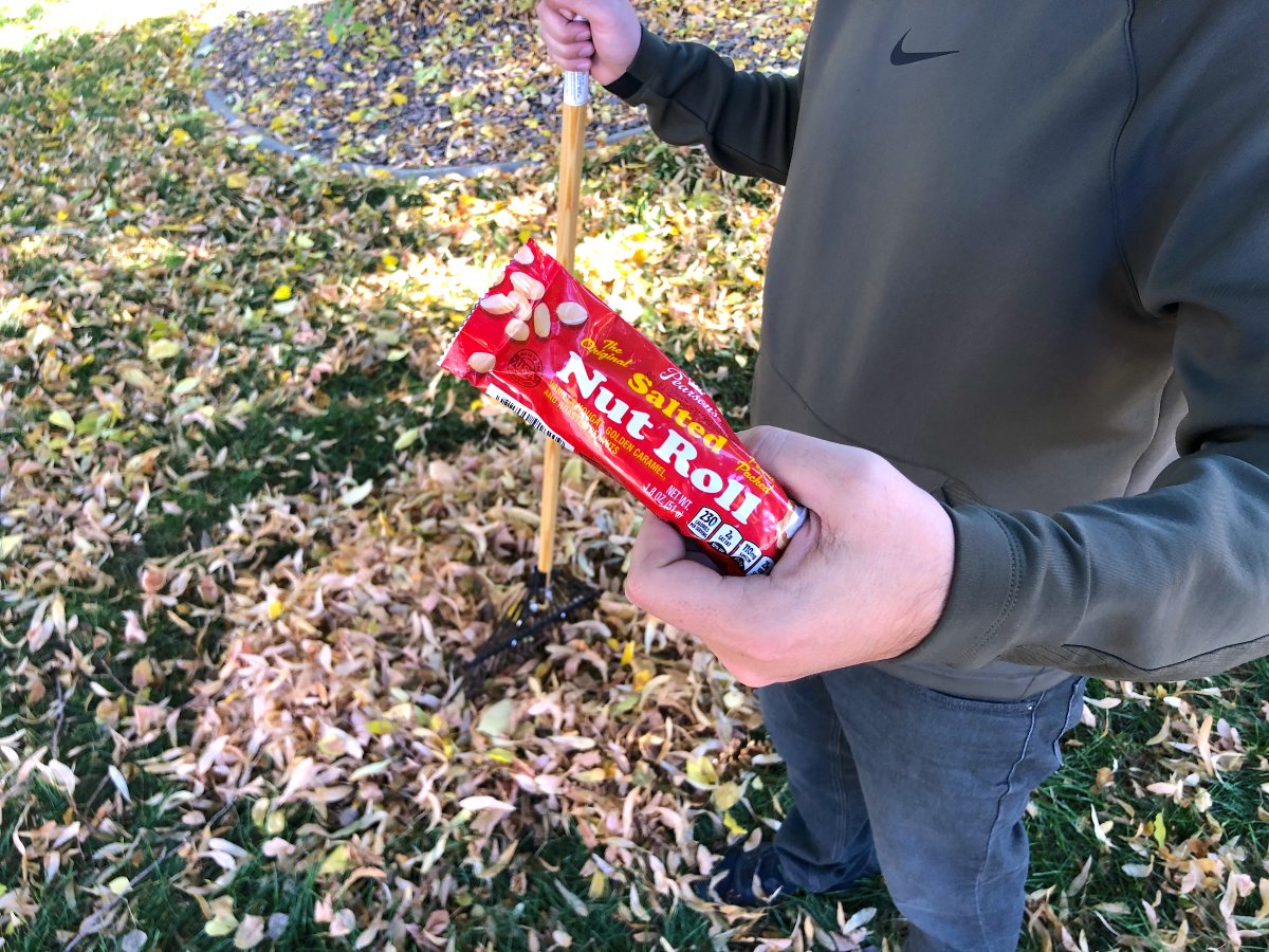 pearsonscandy's tweet photo. Eat one, do more raking ๐
The hardworking Salted Nut Roll has peanut packed protein to help you get through any chore!
Add them to your Amazon cart today ๐ https://t.co/4JzrksZKNz
#EatOneDoMore #SaltedNutRoll #Raking #FallChores https://t.co/v6VsgkF1ME