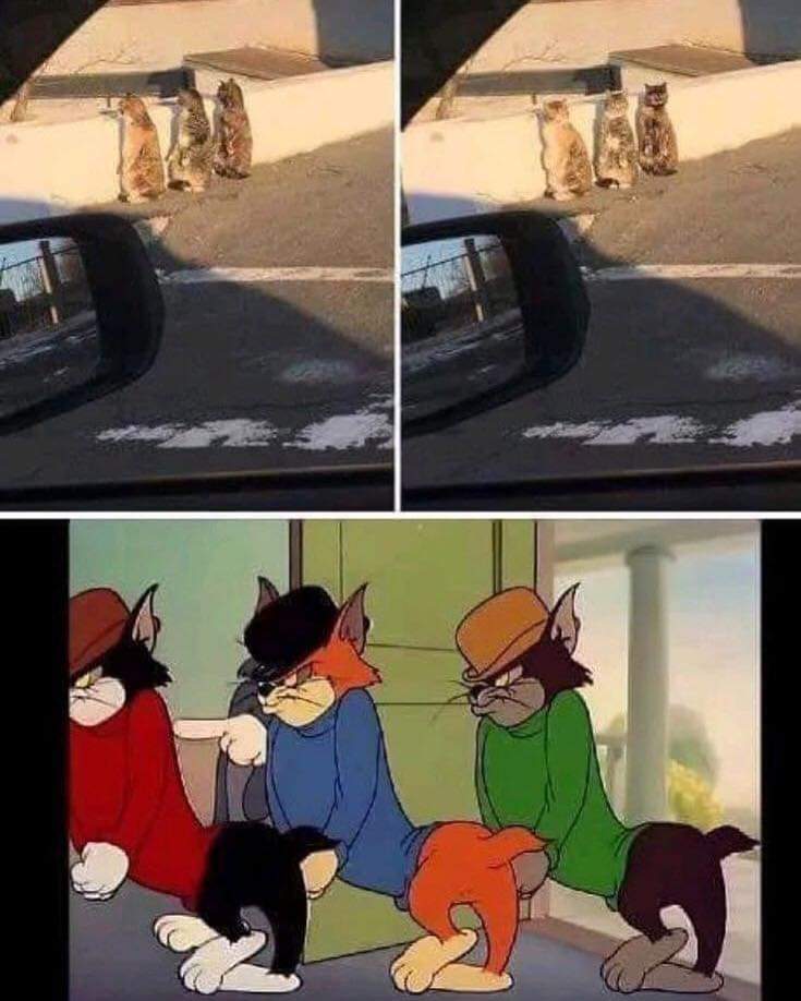 MainBilal940's tweet photo. Sibling got caught 😊 https://t.co/llPQzvY6M5