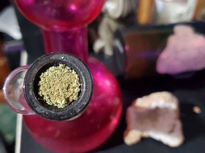 Wake n bake baby  #420 #420friendly #420Life #420girls #weedsmokers #weedcommunity #weedgirl #smokingqueen<a href="/tag/420friendly"class="tags">#420friendly</a><a href="/tag/420life"class="tags">#420Life</a><a href="/tag/420girls"class="tags">#420girls</a><a href="/tag/highlife"class="tags"><span>#highlife</span></a><a href="/tag/hightimes"class="tags"><span>#hightimes</span></a><a href="/tag/weedgirl"class="tags"><span>#weedgirl</span></a><a href="/tag/weedsmokers"class="tags"><span>#weedsmokers</span></a><a href="/tag/smokingqueen"class="tags"><span>#smokingqueen</span></a>