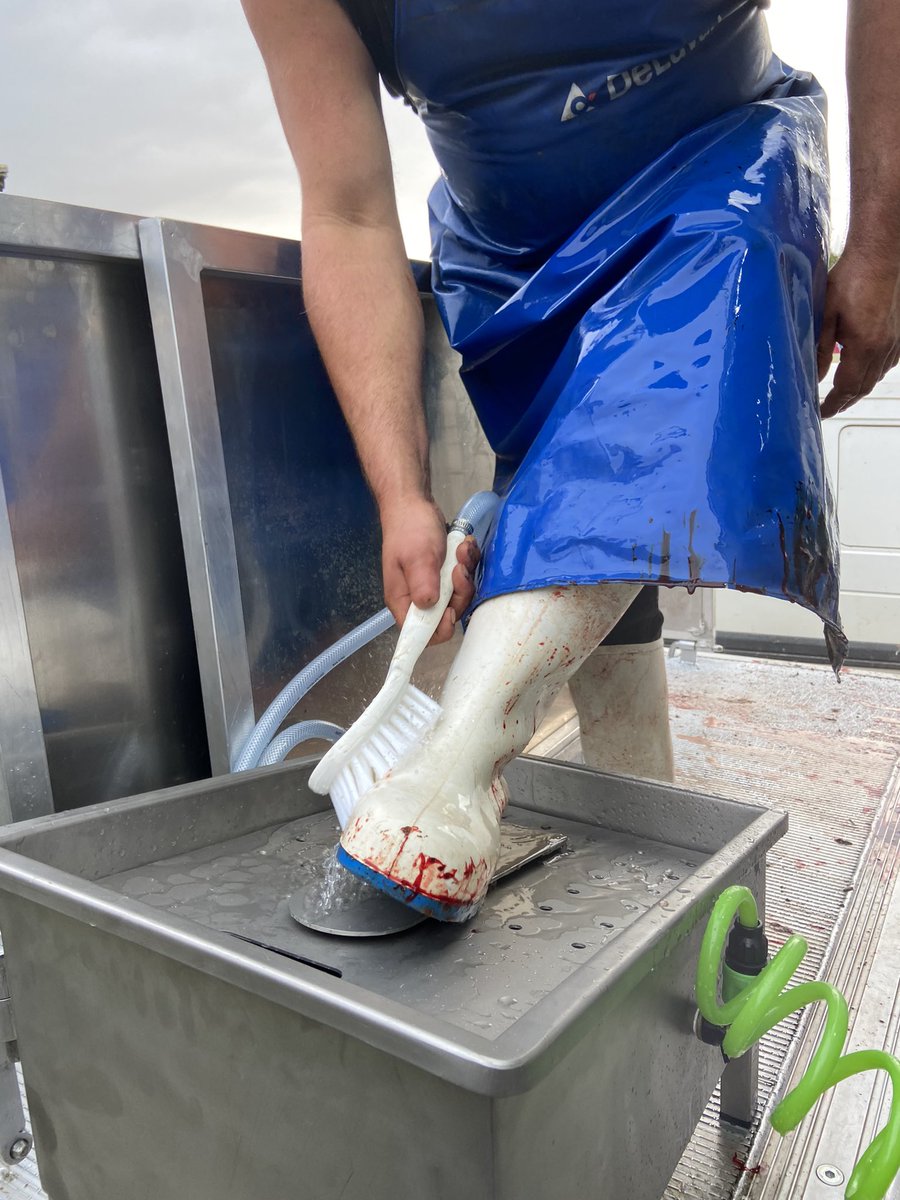 RuralProximidad's tweet photo. Los mataderos móviles permiten a los ganaderos de las zonas rurales acercar sus productos al cliente final   , evitando tener que mal vender sus animales , les permite sacrificar los animales para el comercio de #proximidad #mataderos_moviles  #rural https://t.co/GcqE7afSgV