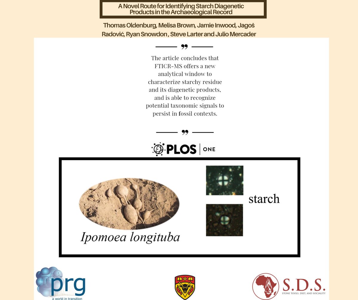 We would like to publicize our recently published paper "A novel route for identifying starch diagenetic products in the archaeological record" published in PLOS ONE. Enjoy! journals.plos.org/plosone/articl…
