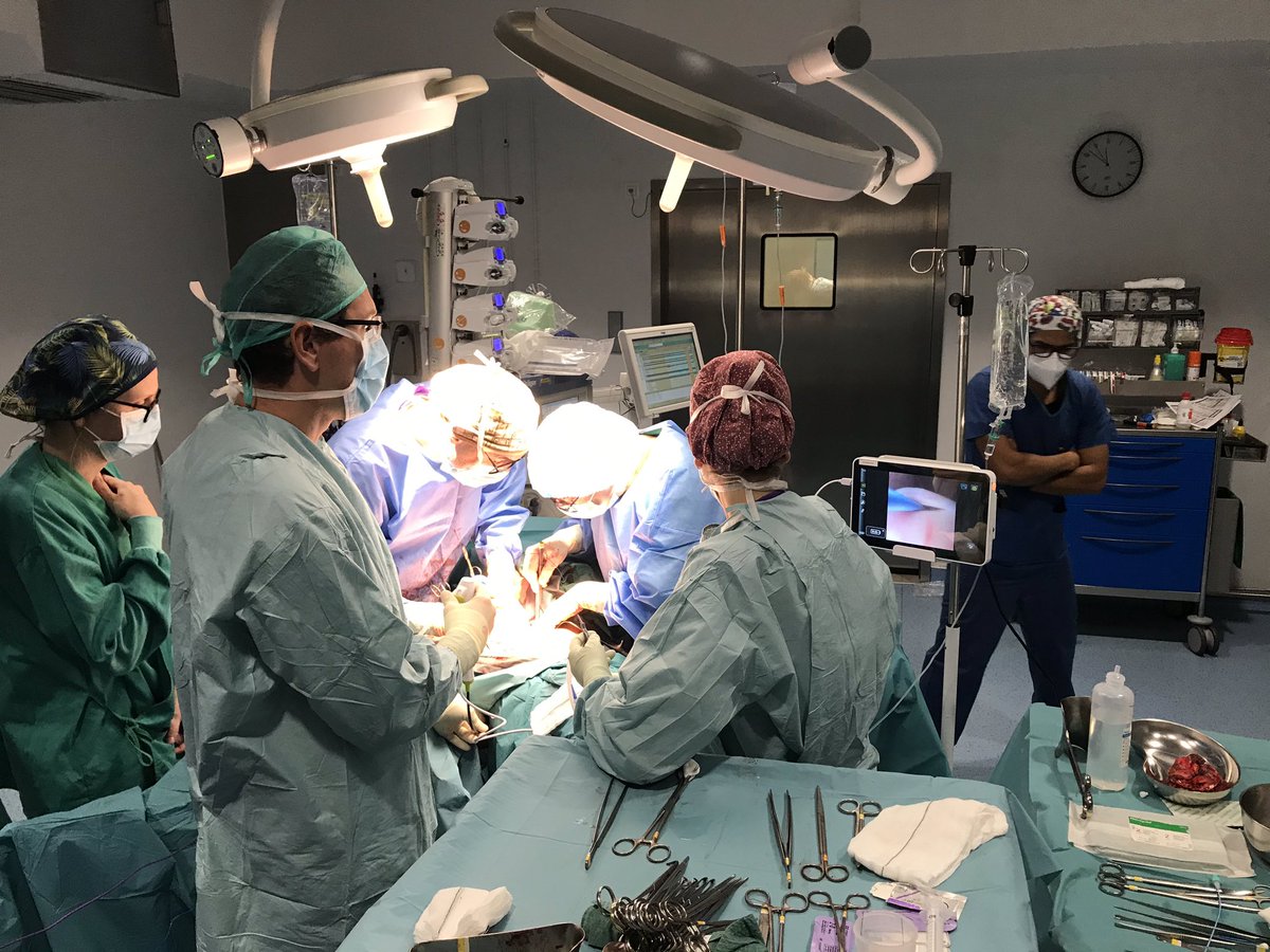 uroServera's tweet photo. Sección ureteral accidental durante una cirugía ginecológica, hay que localizar el extremo distal... la ventaja de disponer de un cistoscopio desechable @Ambu_ES_LATAM https://t.co/gmkd6J7O8K
