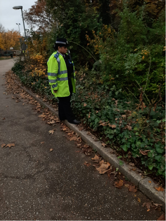 A big thank you to whoever attended our community weapon sweep at Crouch Hill Park. We look forward to organizing more.