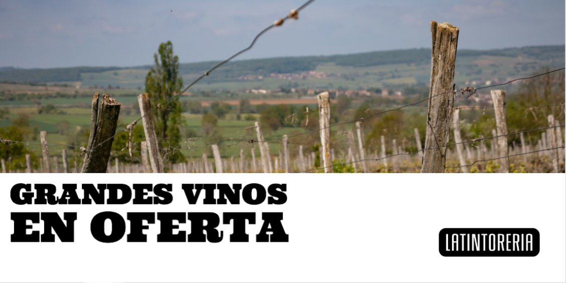 🍷 ¡¡12 Aniversario LA TINTORERÍA!! 🍷 12% en una selección Champanes para Celebrarlo con un DESCUENTO ESPECIAL - mailchi.mp/34ba496ef9c4/1…