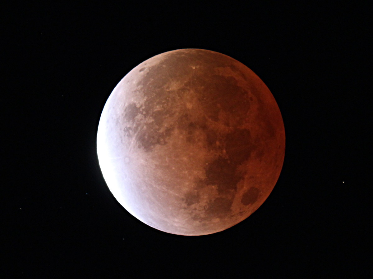Lunar eclipse and full moon photos. Let's see them! 

<a href="/NASAGoddard/">NASA Goddard</a> science visualizer Ernie Wright captured this gem of near-totality from Maryland. 

Lunar photography guide: go.nasa.gov/3oK2TX7
